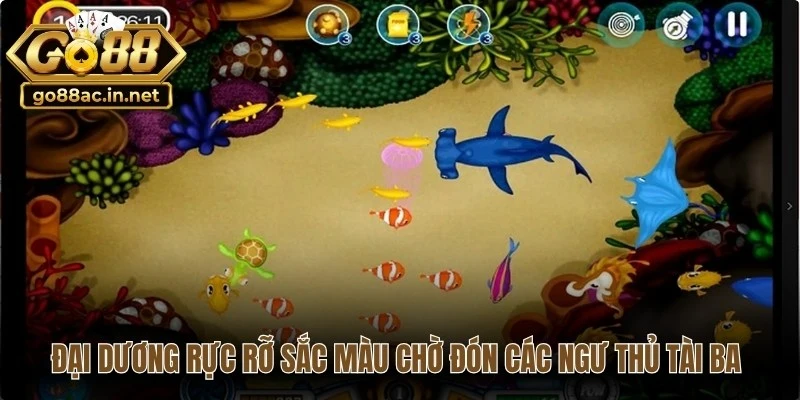 Đại dương rực rỡ sắc màu chờ đón các ngư thủ tài ba chinh phục