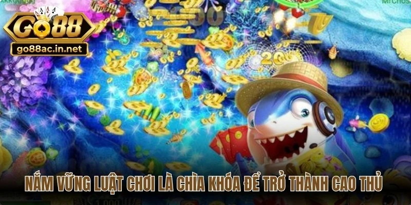 Nắm vững luật chơi là chìa khóa để trở thành cao thủ đại dương