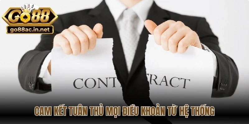 Cam kết tuân thủ mọi điều khoản từ hệ thống